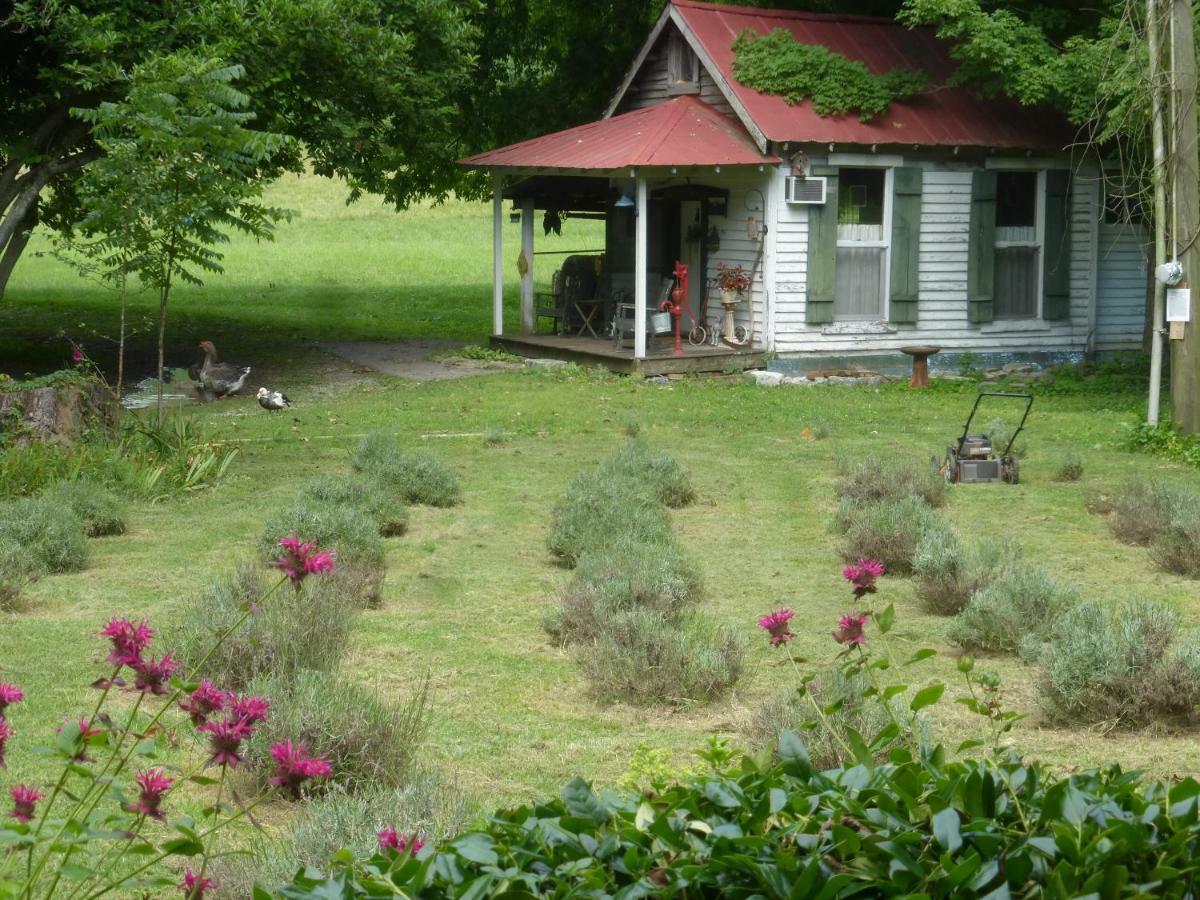 Mulberry Lavender Farm And B&B Eksteriør bilde